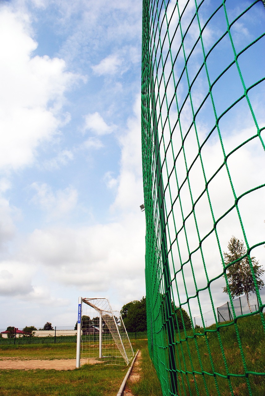 巴黎将成为 巴黎将成为