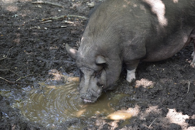 年轻球员的 年轻球员的