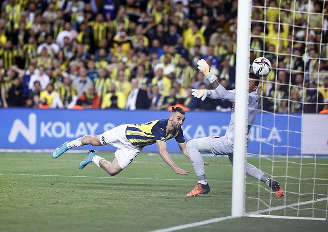 的球员在体 的球员在体